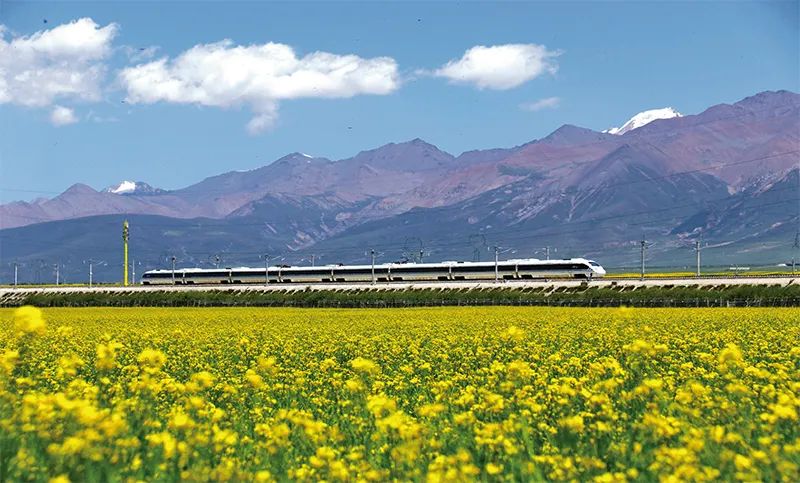 張玉卓、國資、央企、國資委、書記、主任、國企、企業(yè)改革